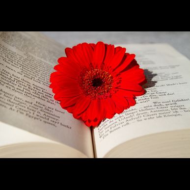 杉並で簡単美味しい料理の家事代行をおさがしのかたはほっとらいふへ